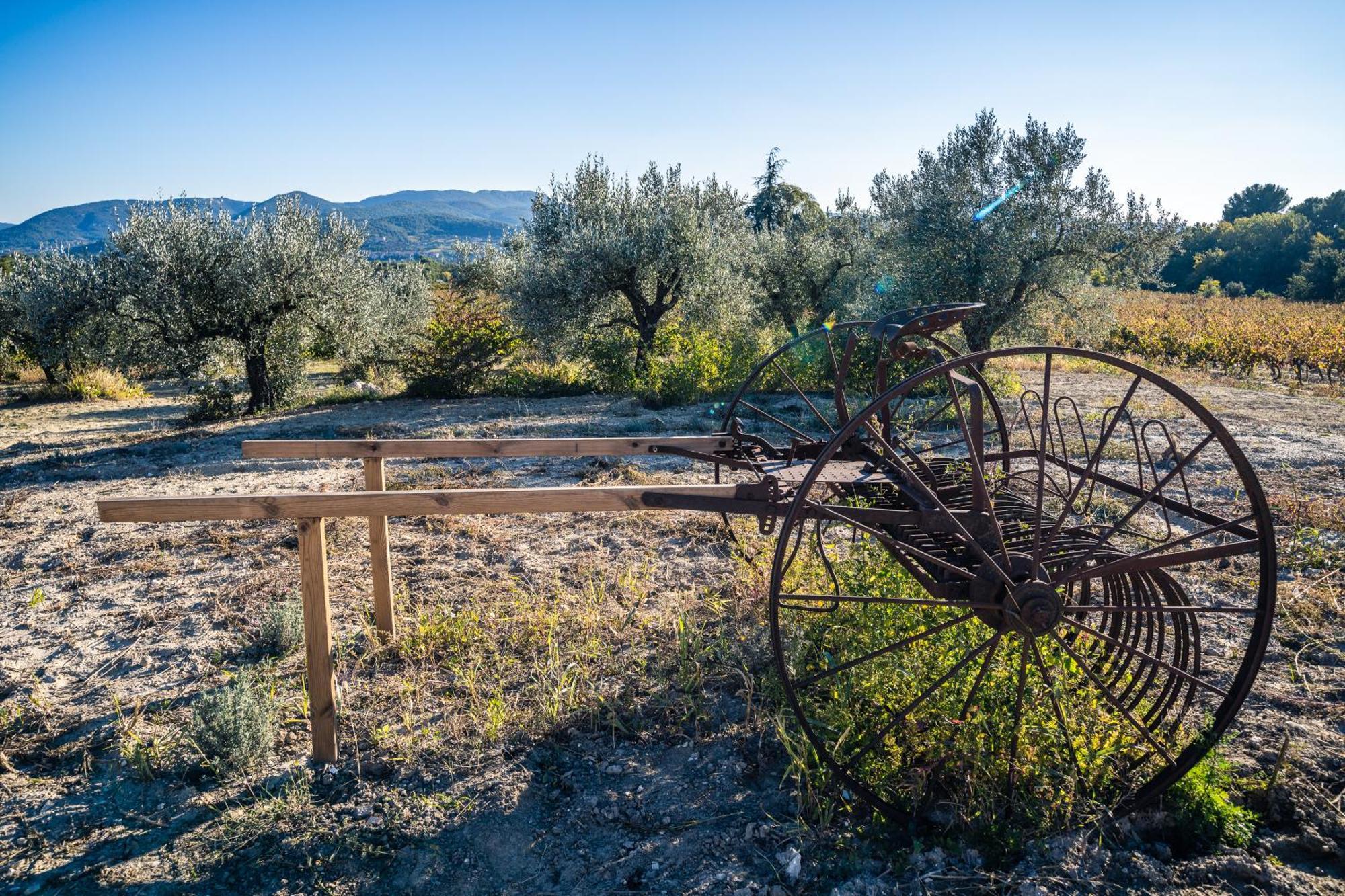 Gite "La Sainte-Croix", Traditional Provencal House For 8 People, Private Swimming-Pool, Air-Conditioner, Beautiful Scenery Vaison-la-Romaine Kültér fotó